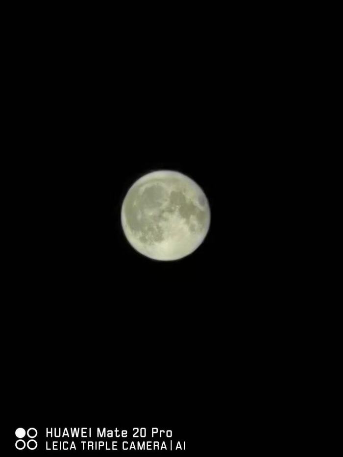 ���^���﹝�����ͺ��ӂ��f�f����ʮ�����﹝�ā�v�����\����