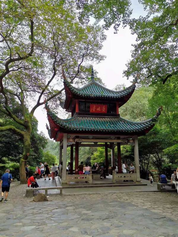 ��´ɽ�_�����W�j�������Wվʮ���꣬������´ɽ��ӛ