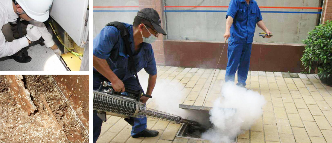 �ɹ�����  �ѻ����l����,�ѻ�������,�ѻ���ρ����  �Wվ���O��ͬ