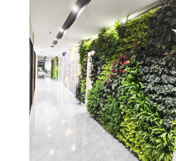 �ɹ����� ����YW�G���h���Ƽ����޹�˾ �Wվ���O��ͬ